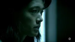 Hawaii 5-0 : S2 E11 - Pahele