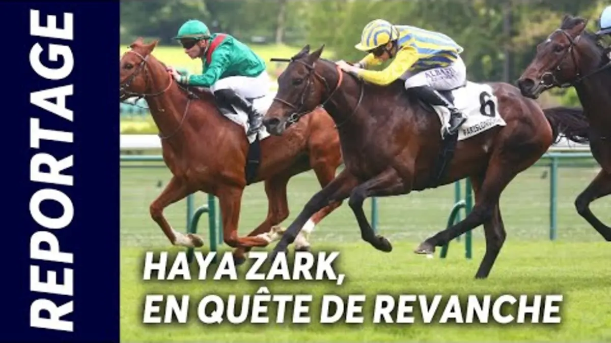 replay de HAYA ZARK, EN QUÊTE DE REVANCHE I Reportage QPAT