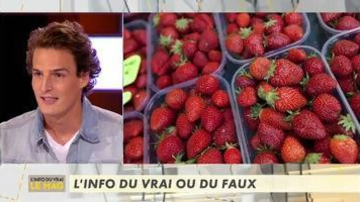 replay de Heureux à tout prix - L'Info du Vrai du 21/09 - CANAL+