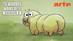 Heureux qui comme le tardigrade a fait un beau voyage | Tu mourras moins bête | ARTE