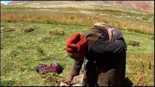 replay de Himalaya - La terre des femmes