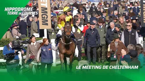 replay de Hippodrome Terre De Courses : Meeting de Cheltenham