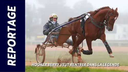 replay de HOOKER BERRY VISE LE DOUBLÉ DANS LE PRIX D'AMERIQUE