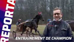 IDÉALE DU CHÊNE, EN ROUTE VERS LE PRIX DE CORNULIER (Gr.1) | Reportage chez Julien Le Mer