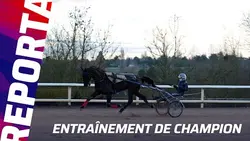 IGUSKI SAUTONNE EN ROUTE POUR UNE PERFORMANCE HISTORIQUE ? | Reportage chez Matthieu Abrivard