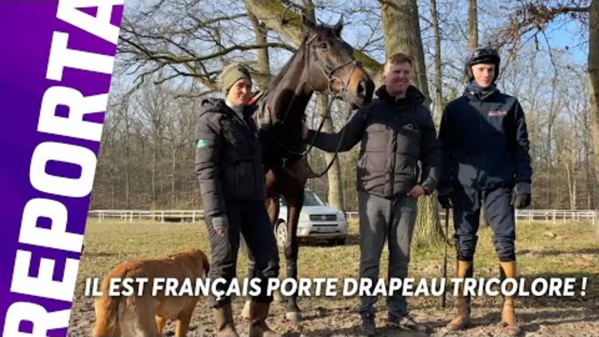 replay de Il Est Français porte drapeau tricolore à Cheltenham
