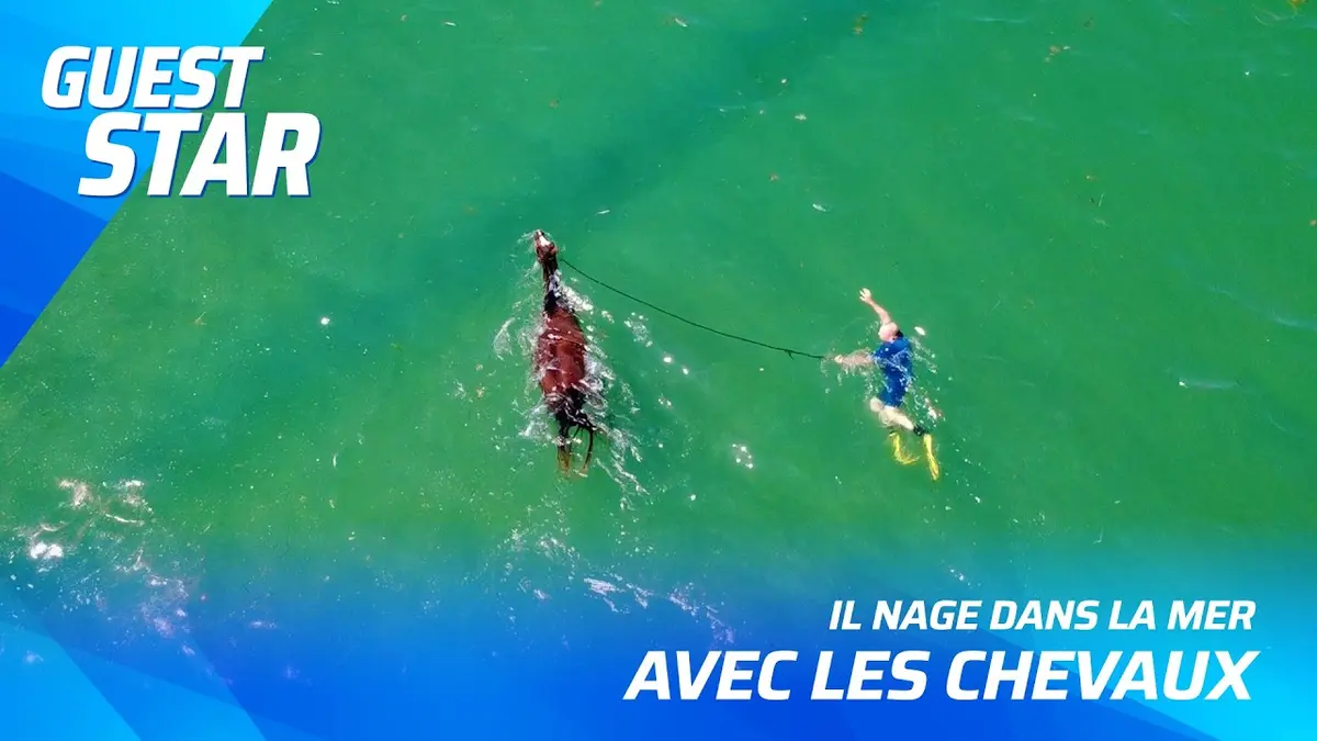 IL NAGE DANS LA MER AVEC LES CHEVAUX | Guest Star…
