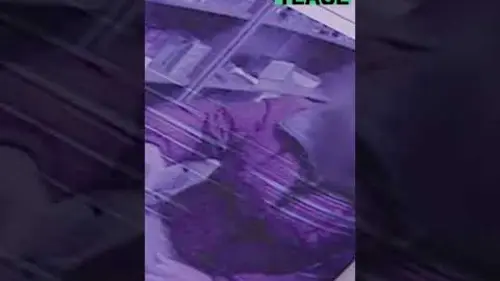 replay de Ils ont retrouvé le faussaire ?- Extrait de Contrefaçons