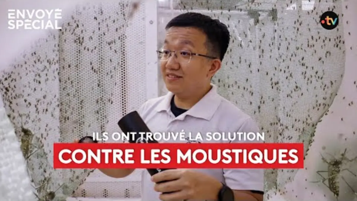 replay de Ils ont trouvé la solution pour lutter contre les moustiques !