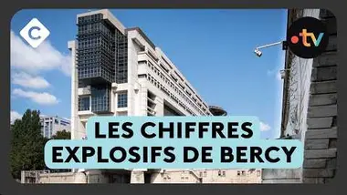 Impôt sur le revenu : plus de 13 000 millionnaires y échappent