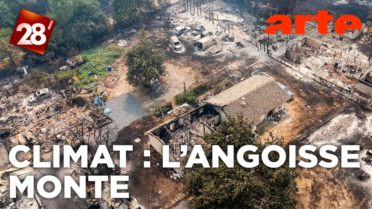 Incendies, canicules : notre santé mentale à…