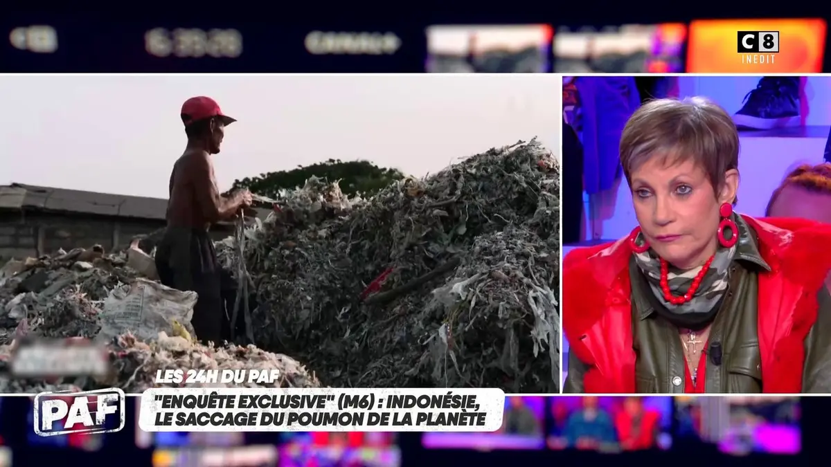 replay de Indonésie : le saccage du poumon de la planète !