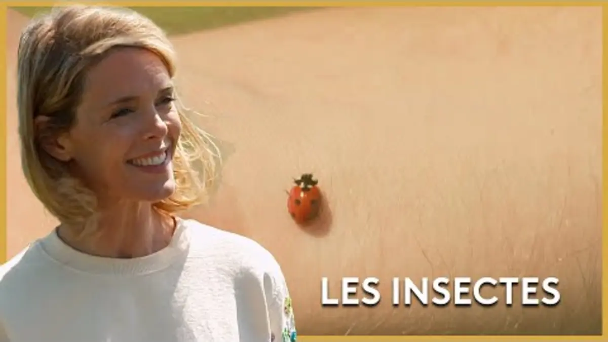 replay de Insectes et Potager - Les Potagers de Julie