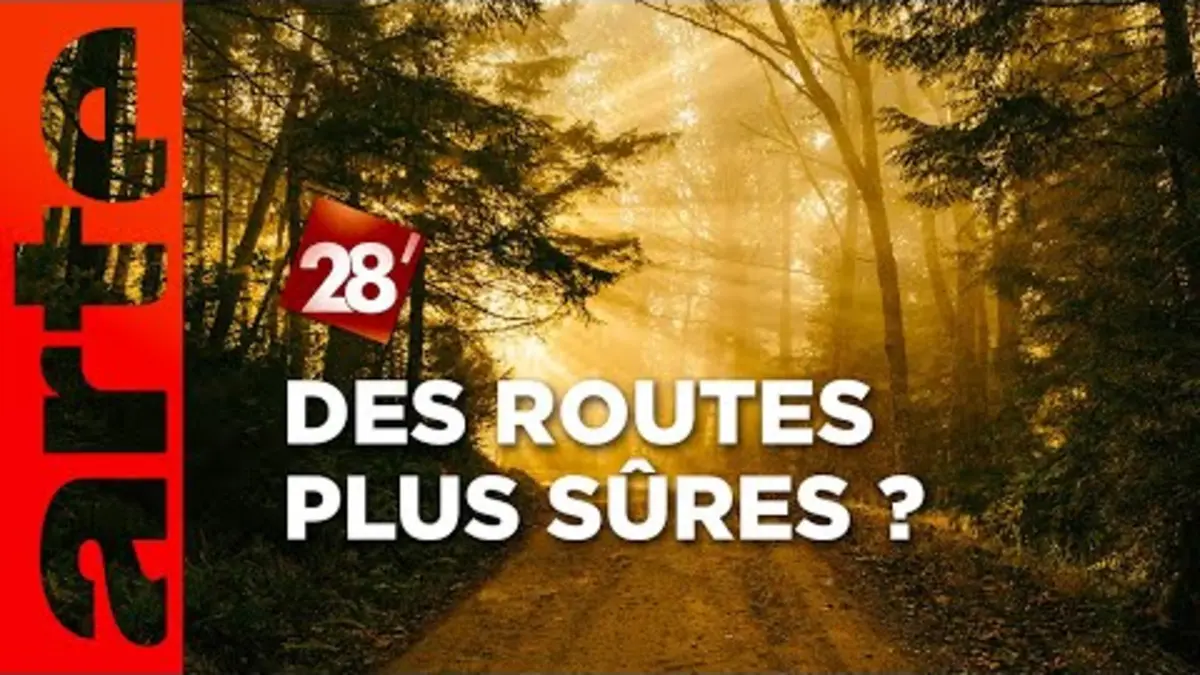replay de Intéressant : Comment rendre les routes de forêt plus sûres ? | 28 minutes | ARTE