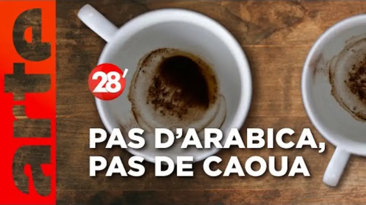 replay de Intéressant : Demain y aura-t-il encore du café ? - 28 minutes - ARTE