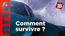 Intéressant : Que faire si vous tombez dans l’eau avec votre voiture ? | 28 minutes | ARTE