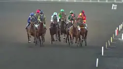 ISLAMORADA BRILLE DANS LE PRIX DU CALVADOS - CORNULIER RACES Q3 (GR.2) À VINCENNES