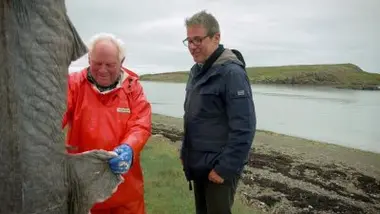 Islande - le requin faisandé