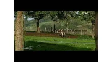 Itinéraires bis - Quand la Normandie se met à table