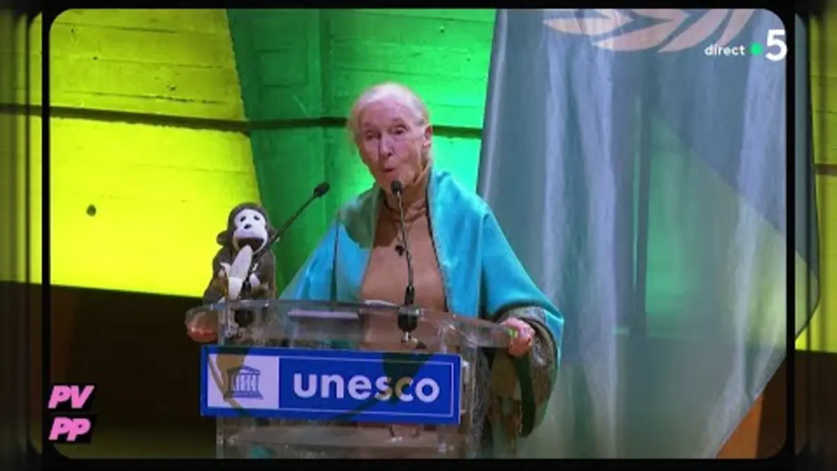 replay de Jane Goodall s’exprime en chimpanzé à l’Unesco - PVPP de Mohamed Bouhafsi - C à vous - 24/10/2024