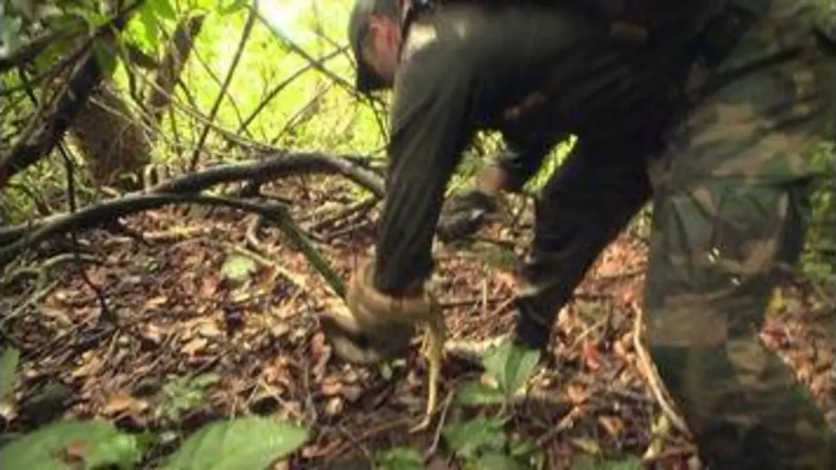 replay de Je suis ma première arme