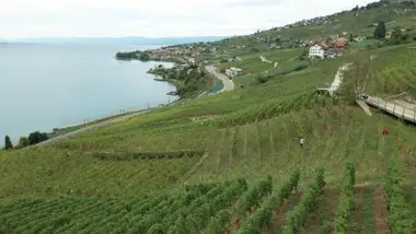 Jérémie Clerc, Melanie Weber