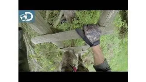 replay de Joël prend de la hauteur : Lone Target