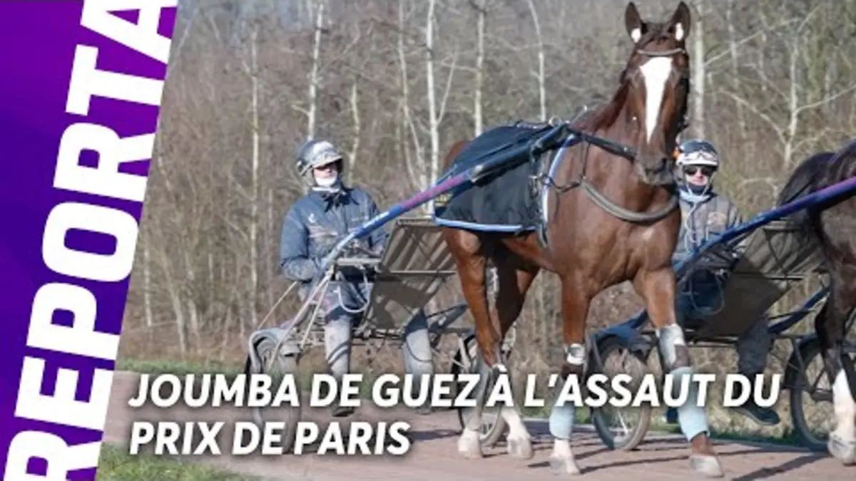 replay de JOUMBA DE GUEZ : L'ATOUT "BAZIRE" À L'ASSAUT DU PRIX DE PARIS