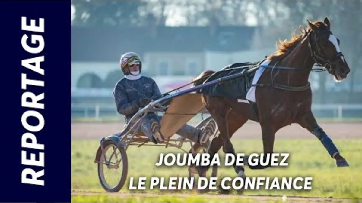 replay de JOUMBA DE GUEZ SEREINE AVANT LE PRIX DE CORNULIER