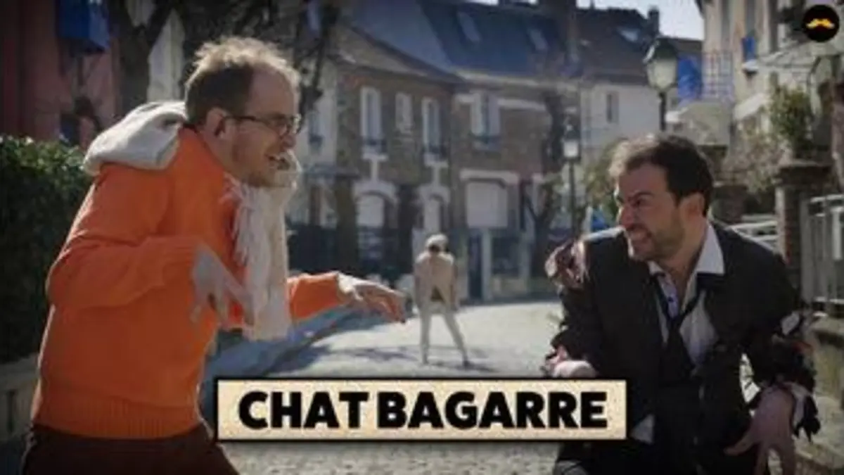 replay de JOUONS À CHAT