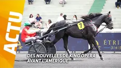 KING OPÉRA, LA FUTURE BELLE SURPRISE DU PRIX D'AMÉRIQUE LEGEND RACE ?