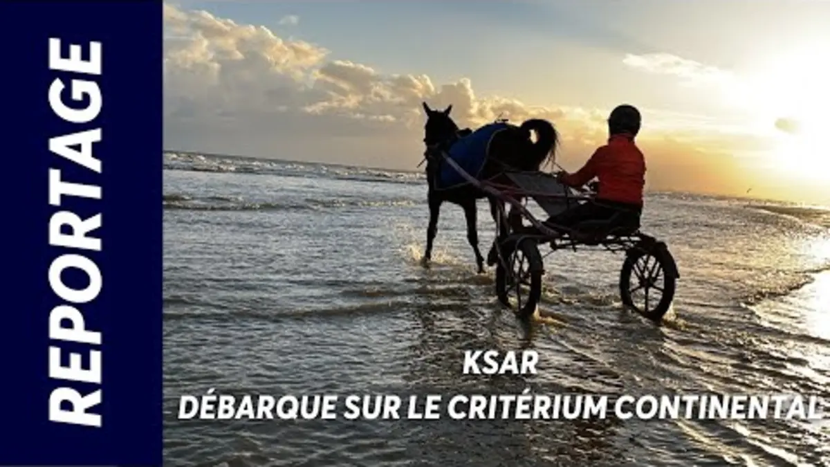 replay de KSAR DÉBARQUE SUR LE CRITERIUM CONTINENTAL - AMERIQUE RACES Q3 DIMANCHE 22/12/24
