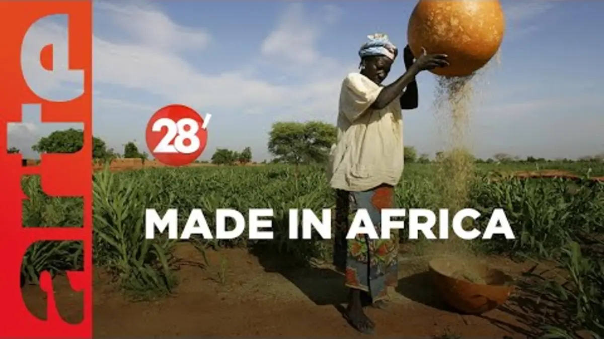 replay de L’agriculture africaine, terre d’avenir | Kako Nubukpo - 28 minutes - ARTE