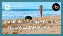 L’Amérique, d’un État à l’autre ! - Des Racines et Des Ailes