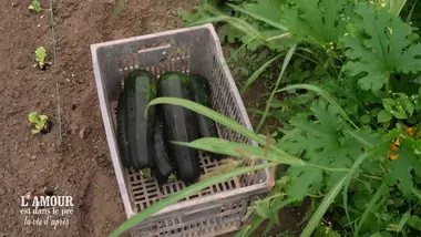 L'amour est dans le pré, la vie d'après : S2 E4