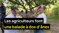 L'amour est dans le pré : Les agriculteurs font une balade à dos d'ânes