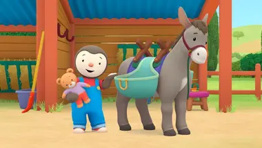 L’âne archi chouchouté