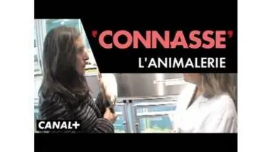L'Animalerie - Connasse