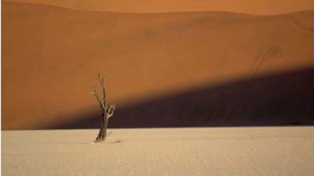 replay de L'éloge du rien