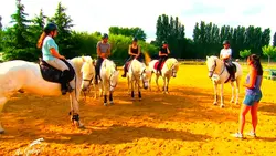 L'équitation, la tradition et la précision