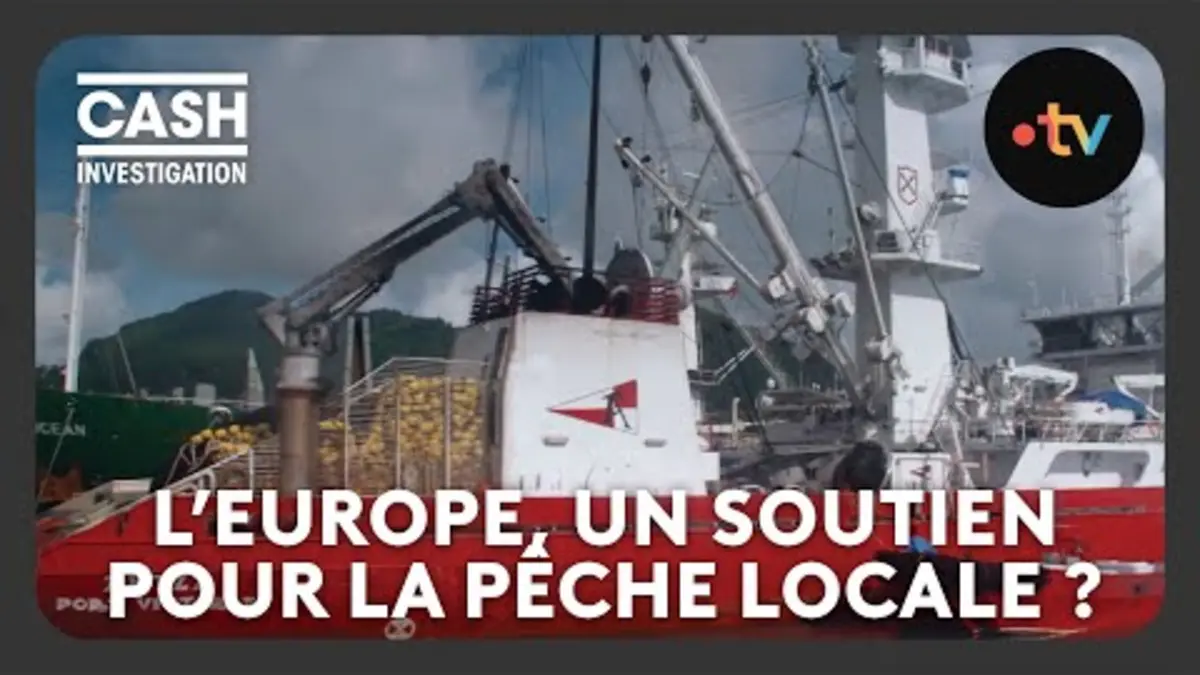 replay de L'Europe soutient-elle vraiment la petite pêche locale dans l’Océan ? - Cash investigation