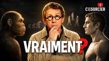 L’Homme descend vraiment du singe ? - C'est pas sorcier