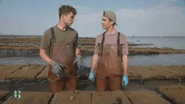 L’huître, la perle des mers