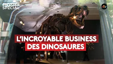 L'incroyable business des dinosaures - reportage intégral