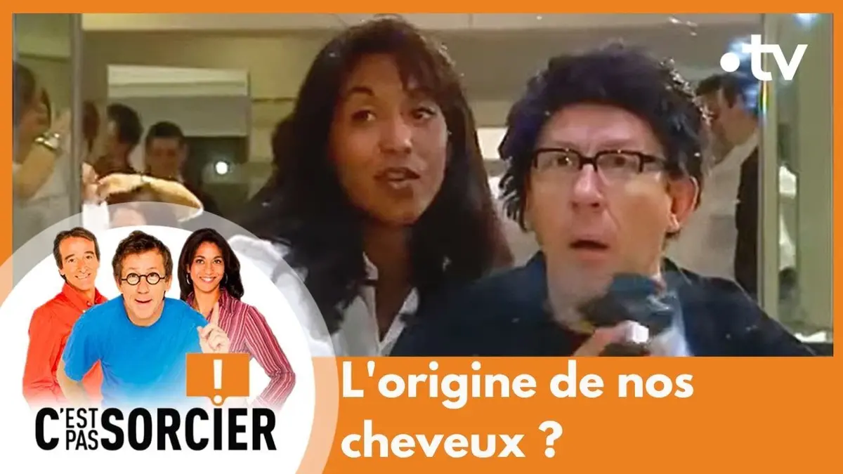 replay de L'origine de nos cheveux ? - C'est pas sorcier [Intégrale]