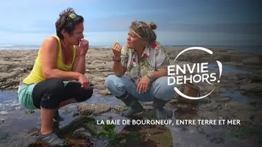 La Baie de Bourgneuf, entre terre et mer