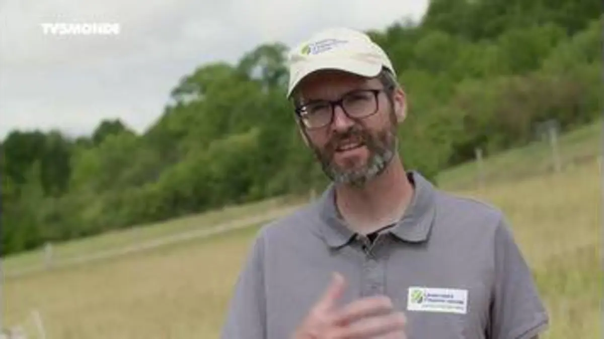 replay de La Beauce - Epicerie fine