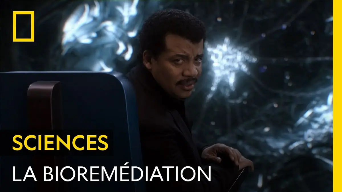 La bioremédiation permet de neutraliser nos…
