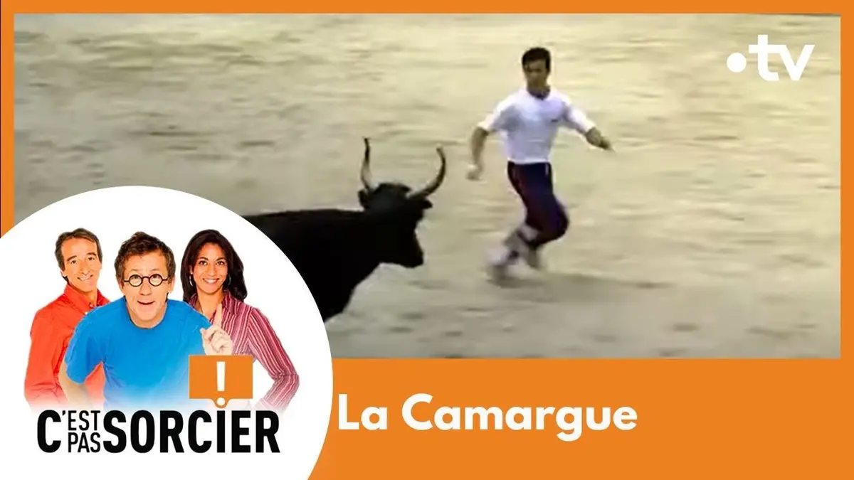 replay de La Camargue - C'est pas sorcier [Intégrale]