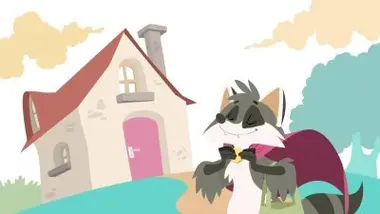 La cape du raton laveur